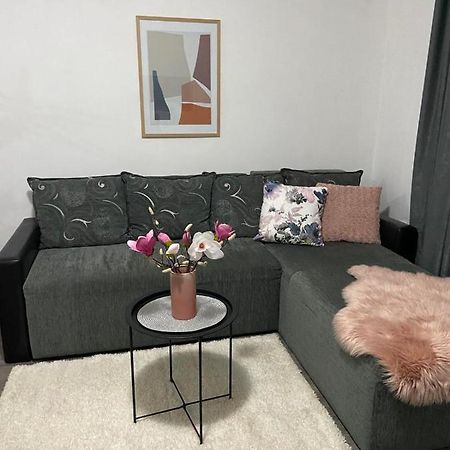 ג'אגודינה Apartman Aleksic מראה חיצוני תמונה