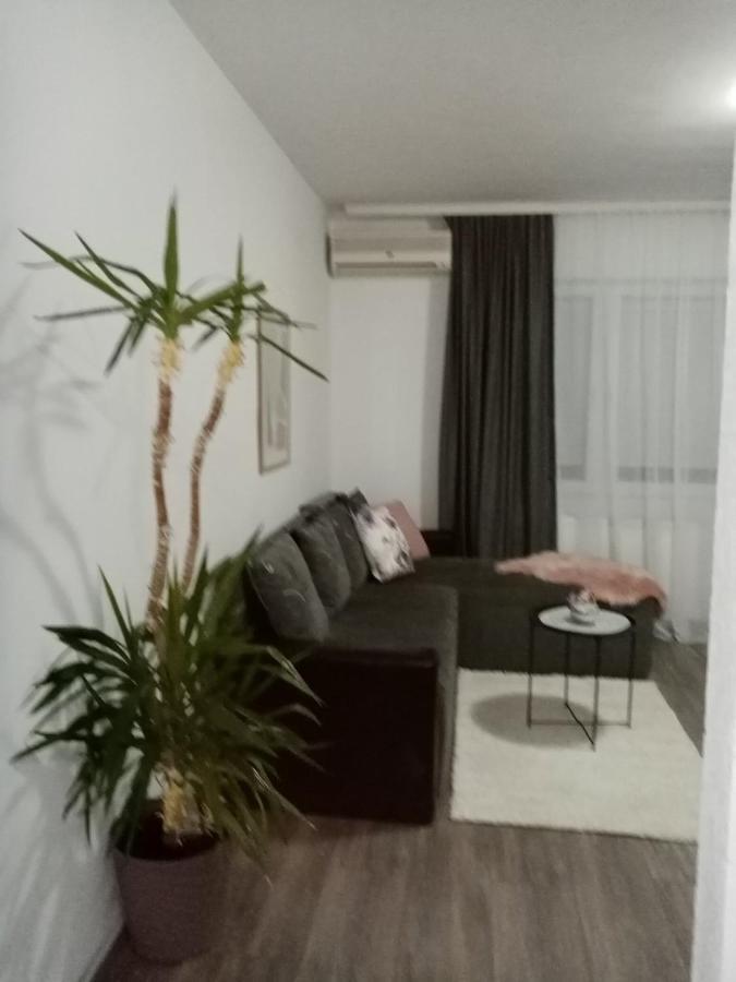 ג'אגודינה Apartman Aleksic מראה חיצוני תמונה