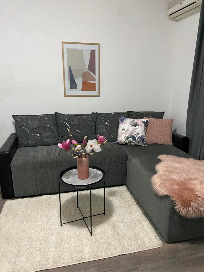 ג'אגודינה Apartman Aleksic מראה חיצוני תמונה