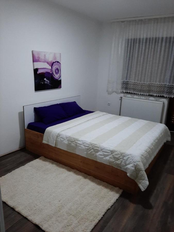 ג'אגודינה Apartman Aleksic מראה חיצוני תמונה