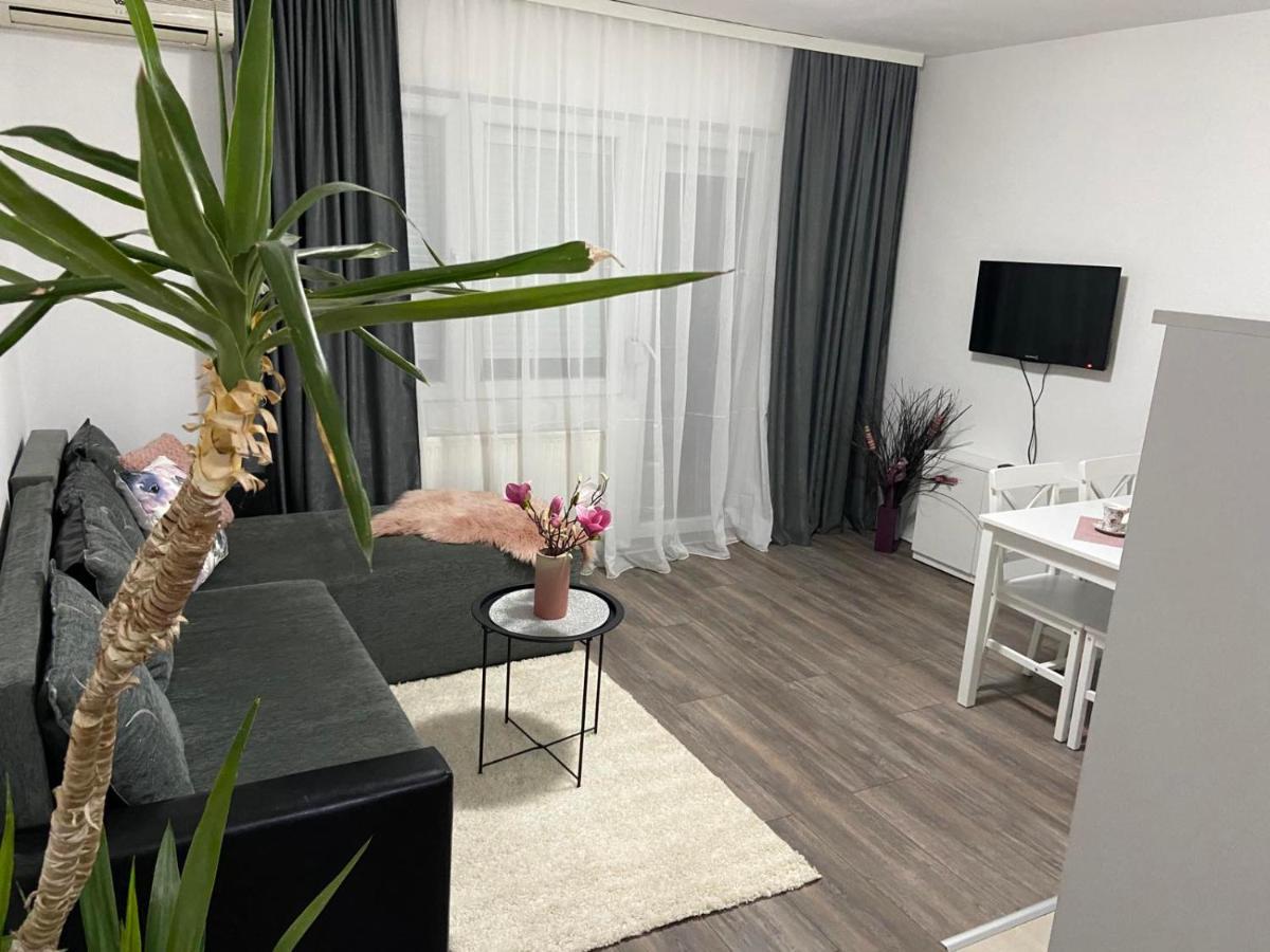 ג'אגודינה Apartman Aleksic מראה חיצוני תמונה