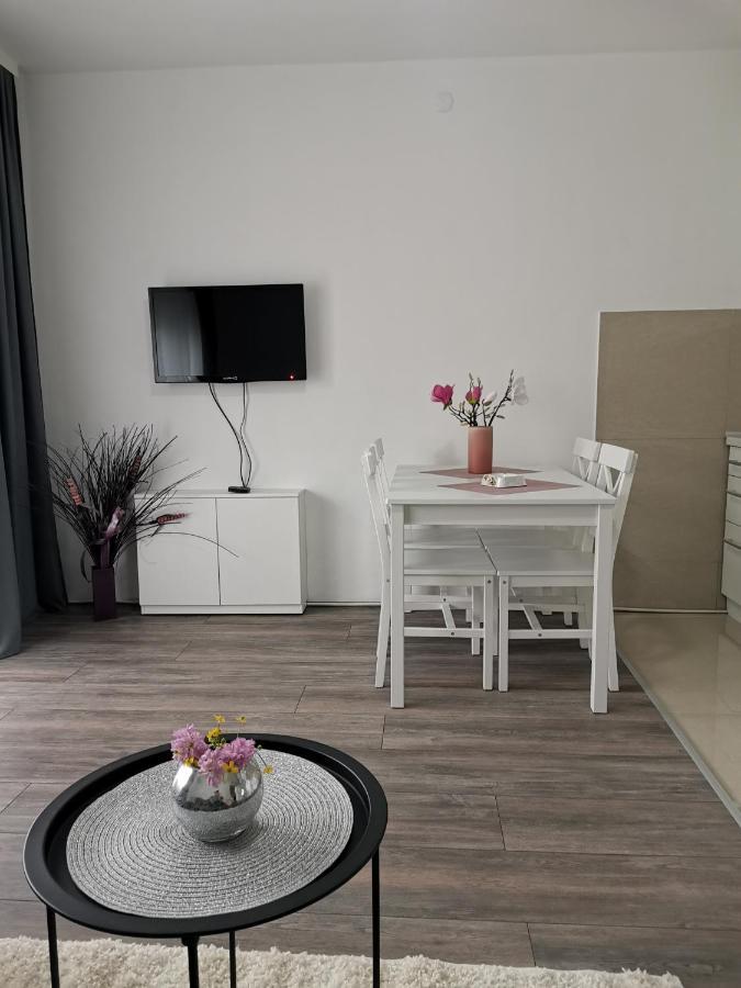 ג'אגודינה Apartman Aleksic מראה חיצוני תמונה