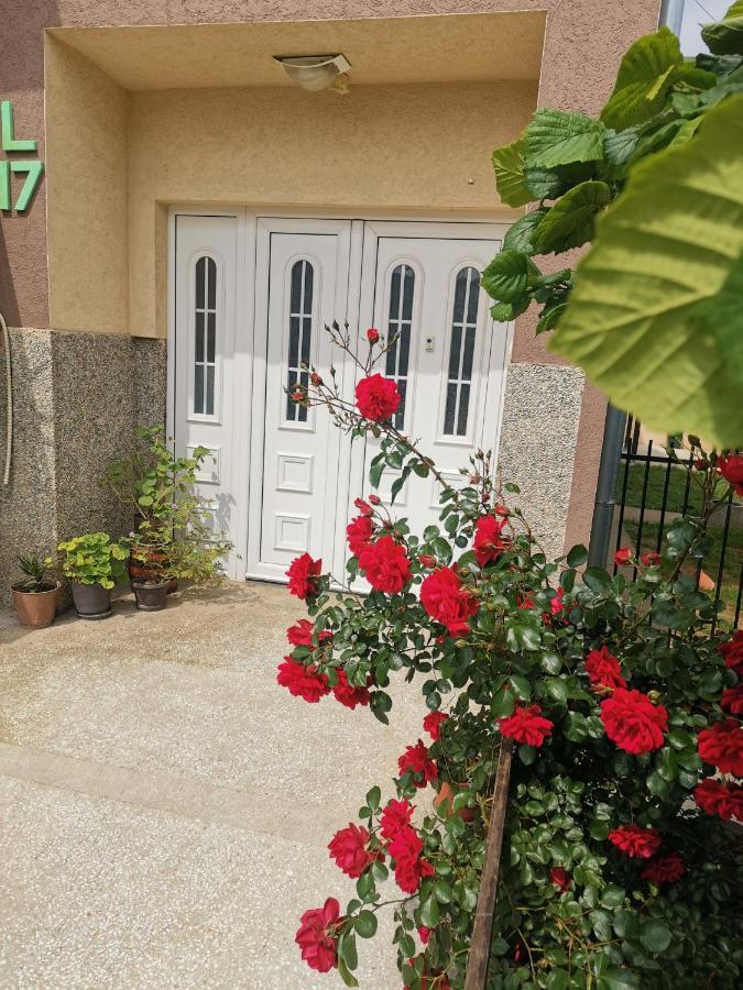 ג'אגודינה Apartman Aleksic מראה חיצוני תמונה
